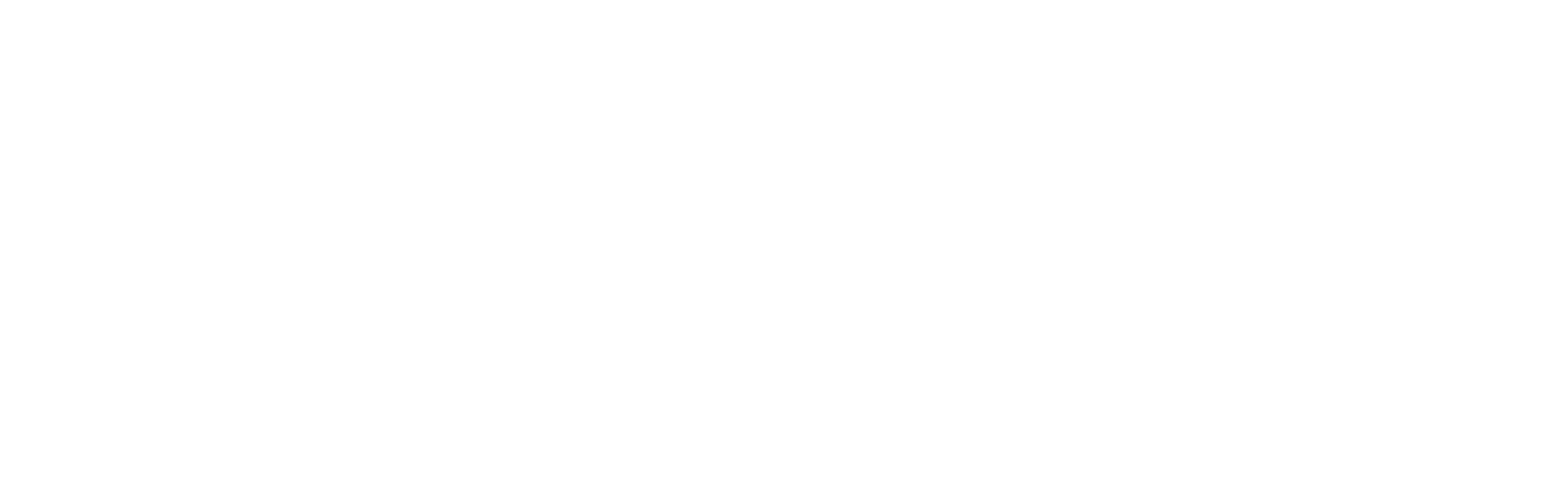 WiseTech